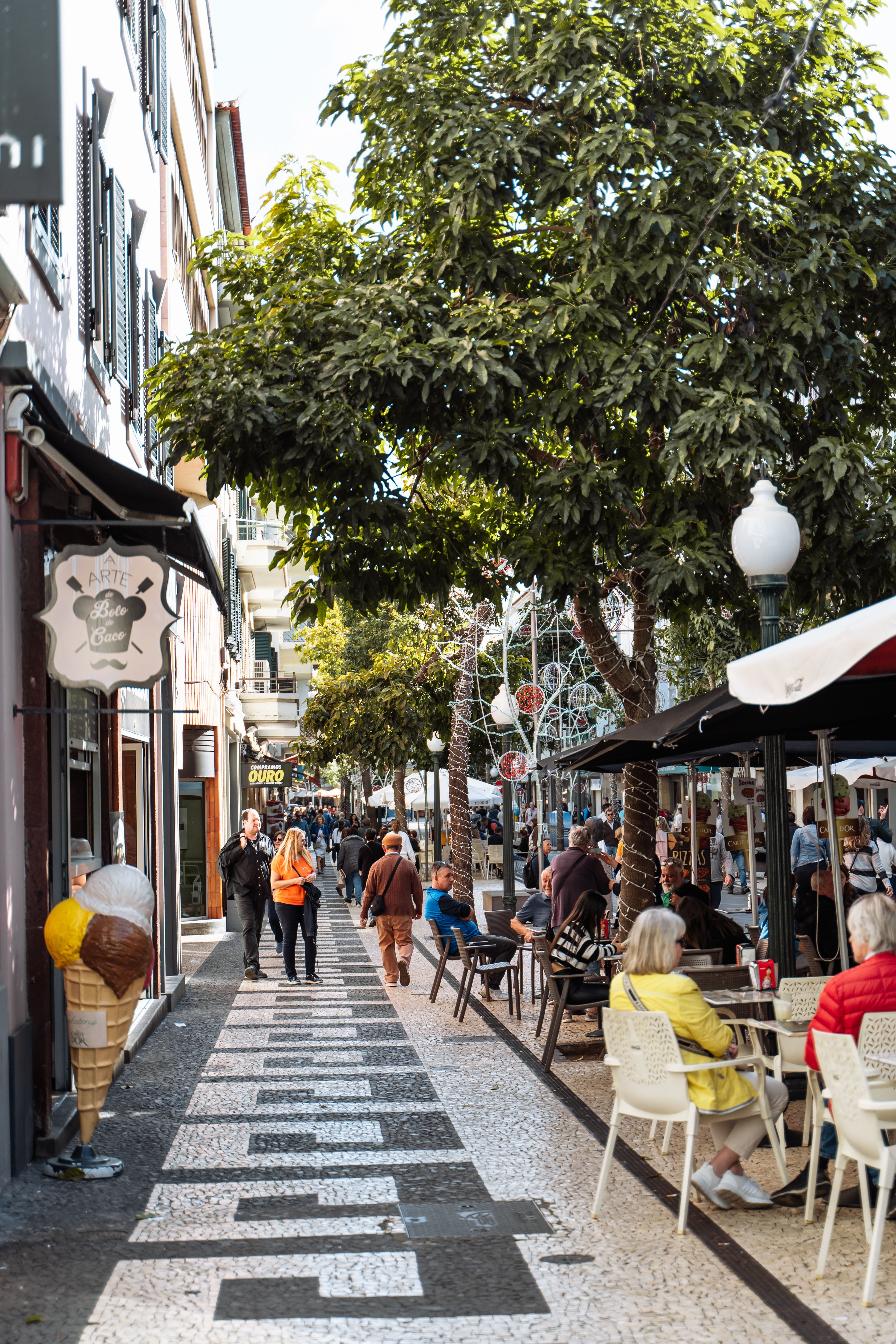 Rua pedestre com árvores e comércio local
